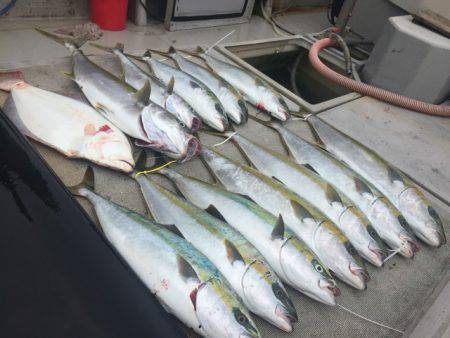 寿裕 (YOSHIHIRO) 釣果