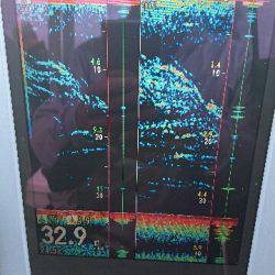 遊漁船ブルーウッズ 釣果