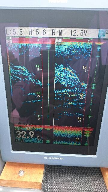 遊漁船ブルーウッズ 釣果