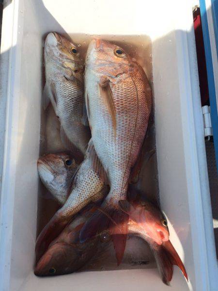 遊漁船高橋 釣果