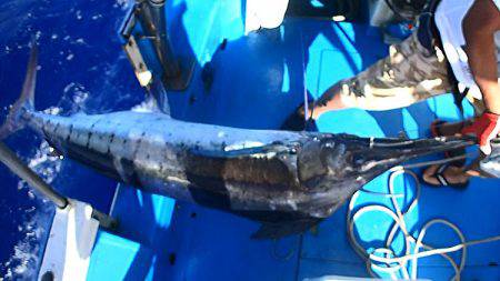 沖縄の釣船クレーンズ・鶴丸 釣果