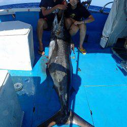 沖縄の釣船クレーンズ・鶴丸 釣果