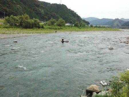 安倍川・藁科川(安倍藁科川漁業協同組合) 釣果
