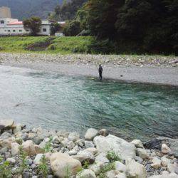 安倍川・藁科川(安倍藁科川漁業協同組合) 釣果