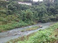 秩父フライフィールド 釣果