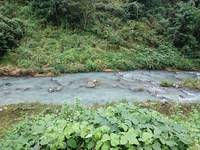 秩父フライフィールド 釣果