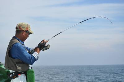根岸丸 釣果