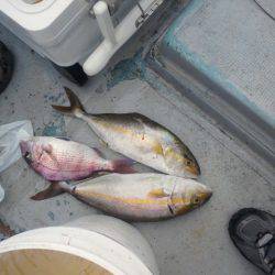 第二明康丸 釣果