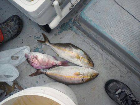 第二明康丸 釣果