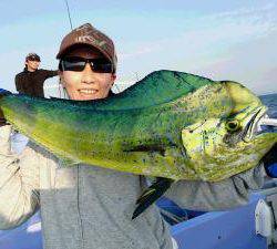 丸伊丸 釣果