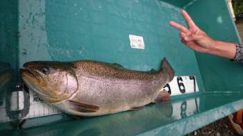 フィッシング サンクチュアリ 釣果