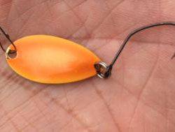 フィッシング サンクチュアリ 釣果