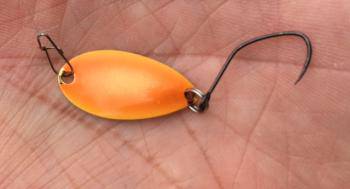 フィッシング サンクチュアリ 釣果