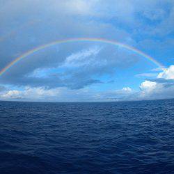 沖縄の釣船クレーンズ・鶴丸 釣果