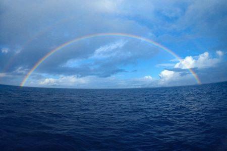 沖縄の釣船クレーンズ・鶴丸 釣果