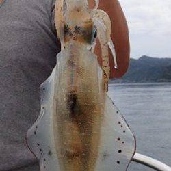 まるいち丸 ZERO-1 釣果