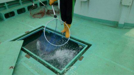 釣り堀水宝 釣果