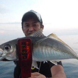 渡船屋たにぐち 釣果