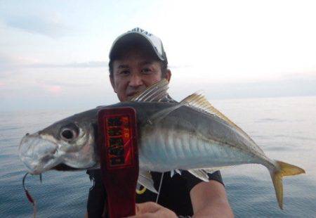 渡船屋たにぐち 釣果