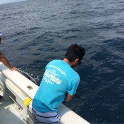 海楽隊 華栞丸 釣果