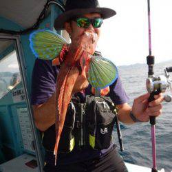 渡船屋たにぐち 釣果