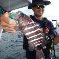 渡船屋たにぐち 釣果
