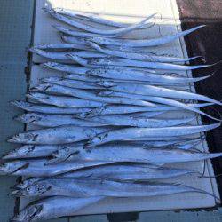 エムズジャーク（M’s JERK） 釣果