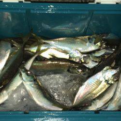 第二八坂丸 釣果