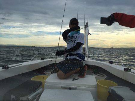 Ｖ−７ West 釣果