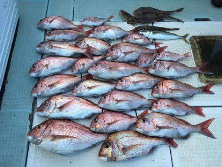 エムズジャーク（M's JERK…