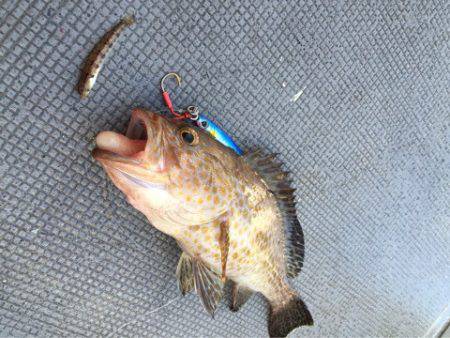 第二 海洋丸 釣果