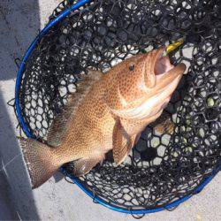 第二 海洋丸 釣果