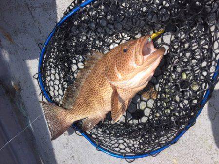 第二 海洋丸 釣果