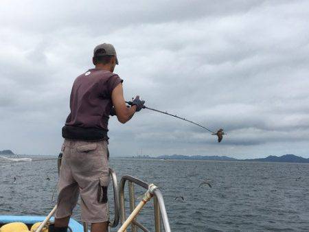みやけ丸 釣果