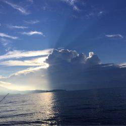 第二 海洋丸 釣果