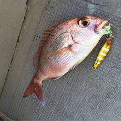 第二 海洋丸 釣果