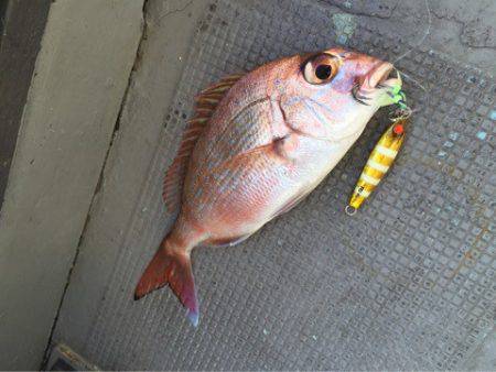 第二 海洋丸 釣果