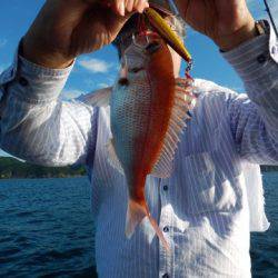 渡船屋たにぐち 釣果