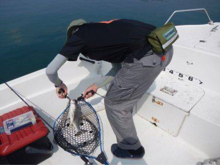 「LaGooN」蒼陽丸 日和号 釣果