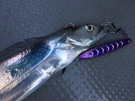 遊漁船 セトマリン 釣果