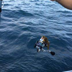 まるいち丸 ZERO-1 釣果