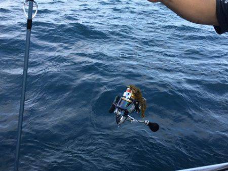 まるいち丸 ZERO-1 釣果