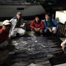 エムズジャーク（M’s JERK） 釣果