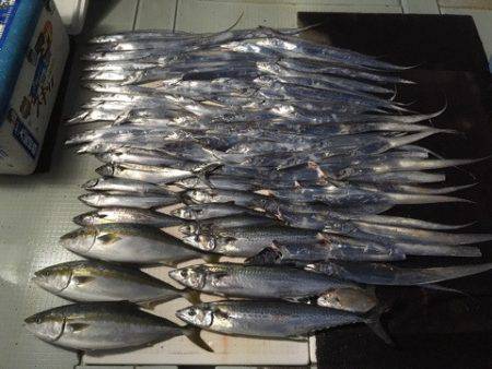 エムズジャーク（M's JERK…