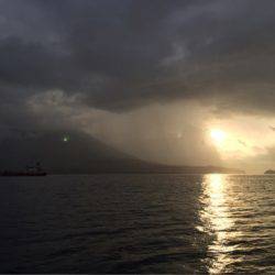 第二 海洋丸 釣果