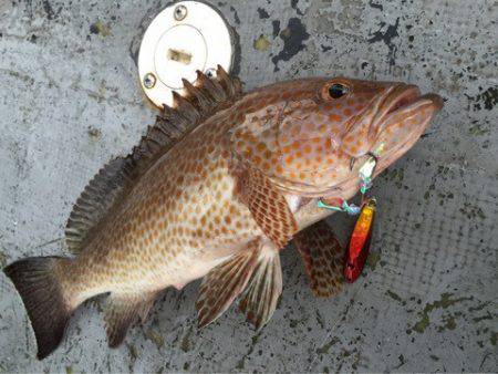 第二 海洋丸 釣果