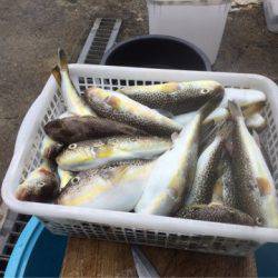 敷嶋丸 釣果