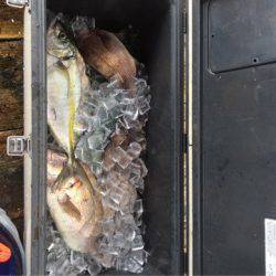 釣り堀水宝 釣果