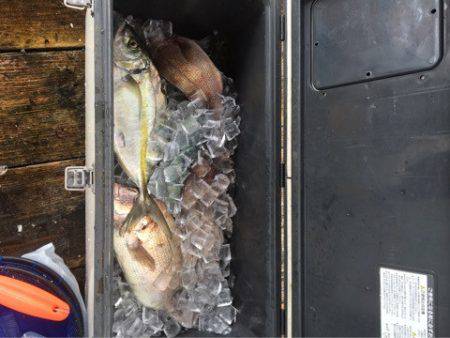 釣り堀水宝 釣果