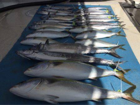 大雄丸 釣果